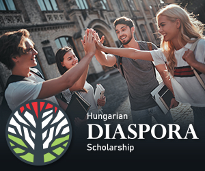 Программа стипендии Диаспора